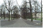 Geneva
