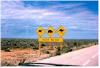 The Nullabor - Camels, Wombats and Kangaroos. Camels?! Australia 1988